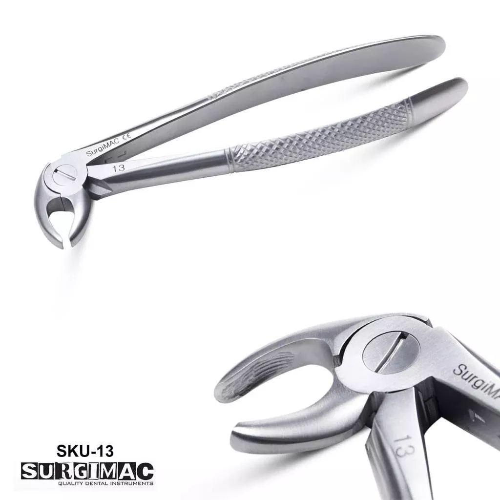 #13 lower cuspids and bicuspids English pattern extracting forceps