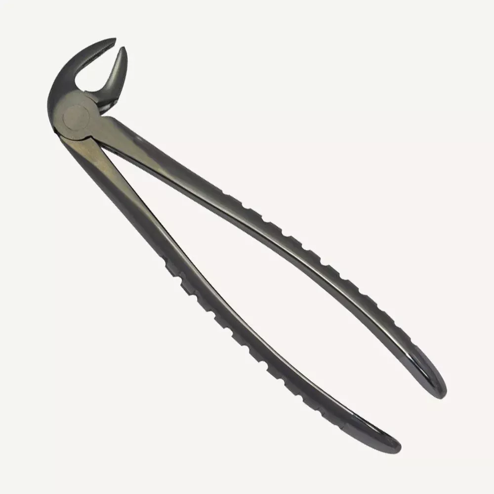 13 Lower Premolars Forceps