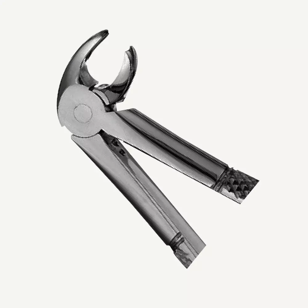 79 Lower 3rd Molars Forceps