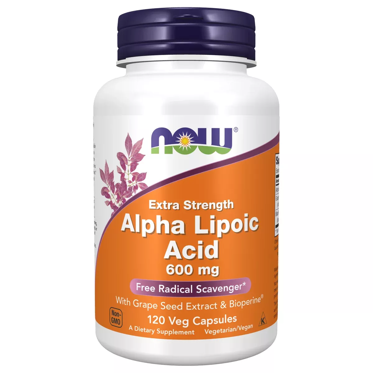 Alpha Lipoic Acid 600mg (120 Capsules)
