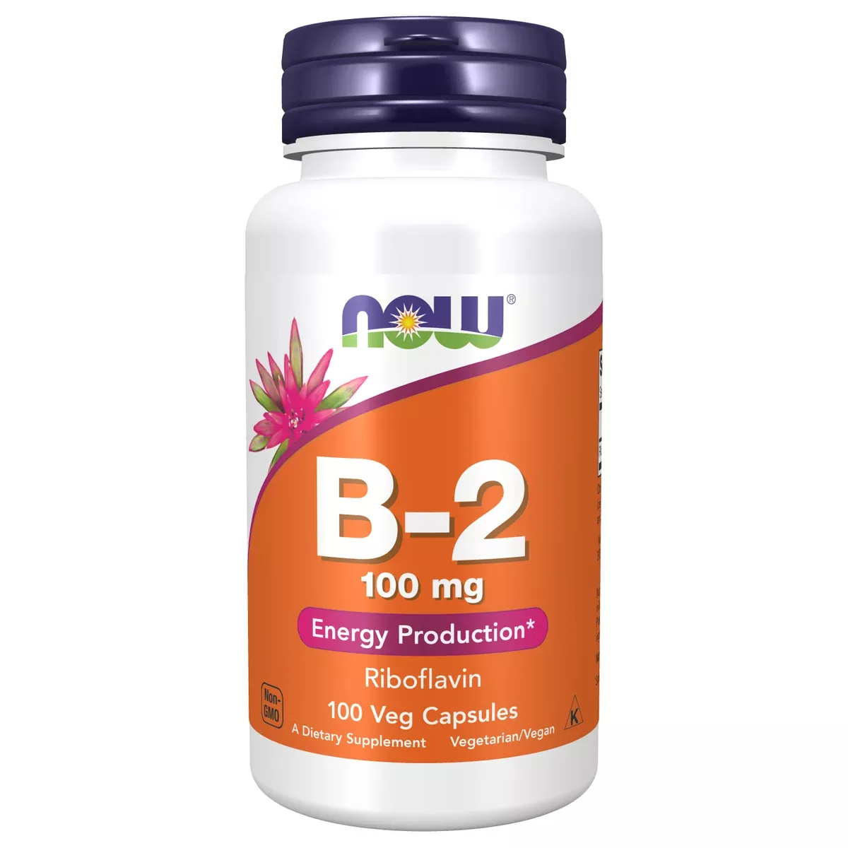 B-2 100mg (100 Capsules)