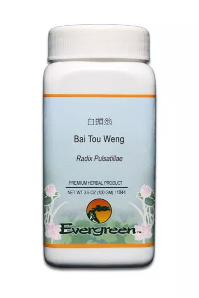 Bai Tou Weng Evergreen 5:1 Extract Powder