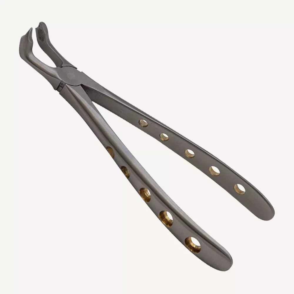 Lower Molar Forceps