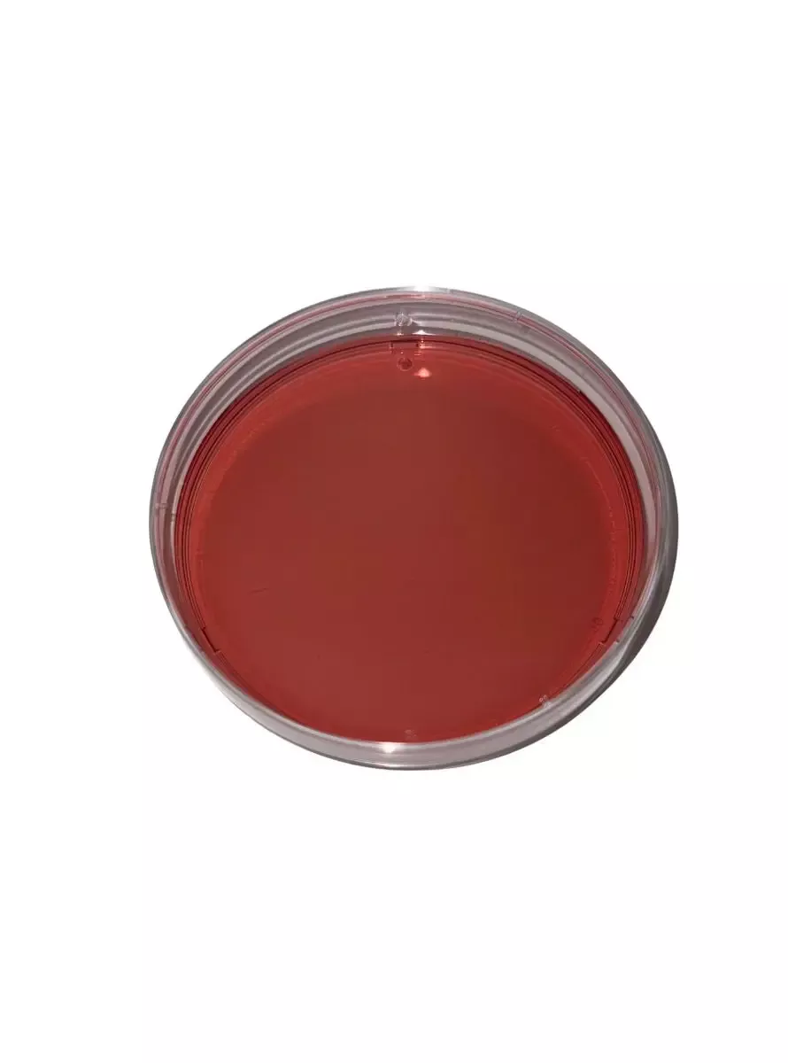 MacConkey Agar Plates, 10-Pack