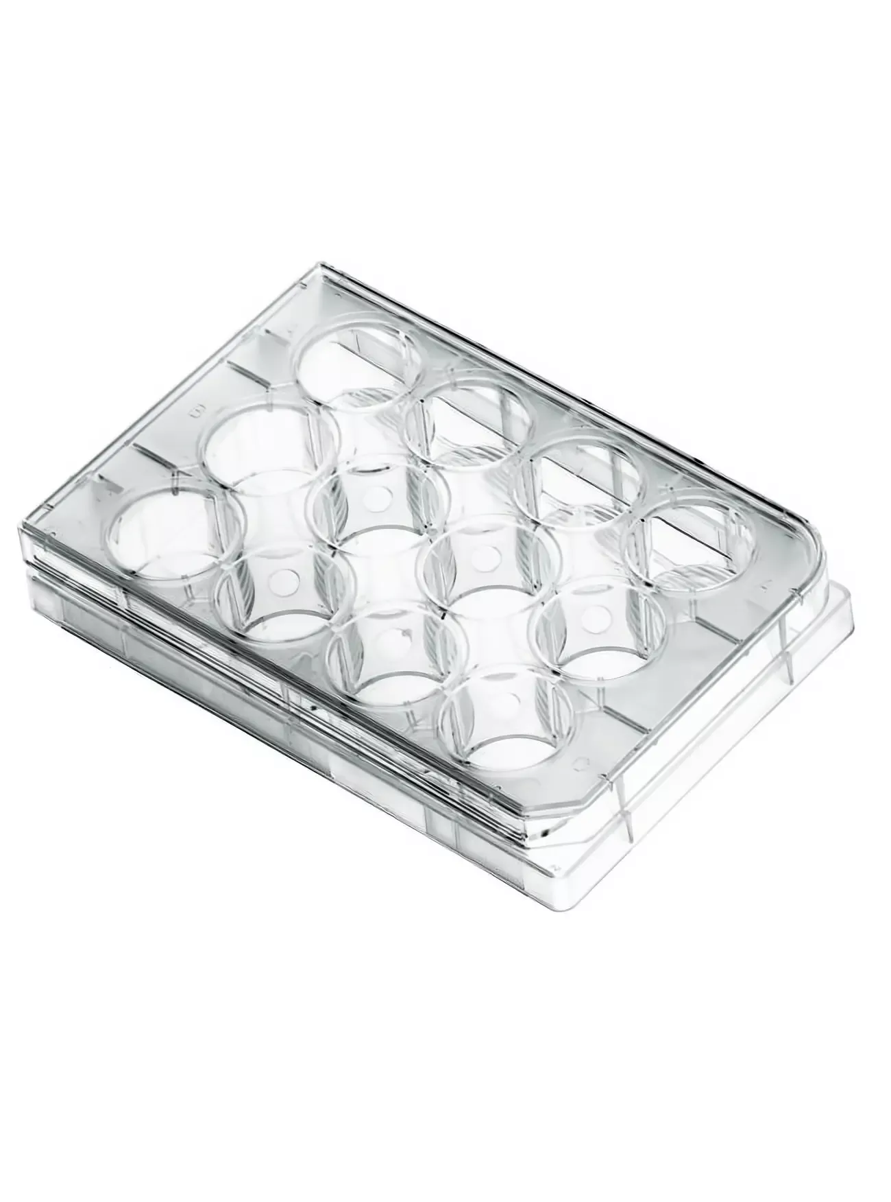 Multi Well Plates