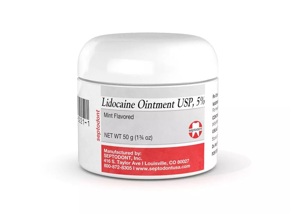 Septodont Lidocaine Ointment - USP 5% Mint Flavored Topical Anesthetic, 50 gm