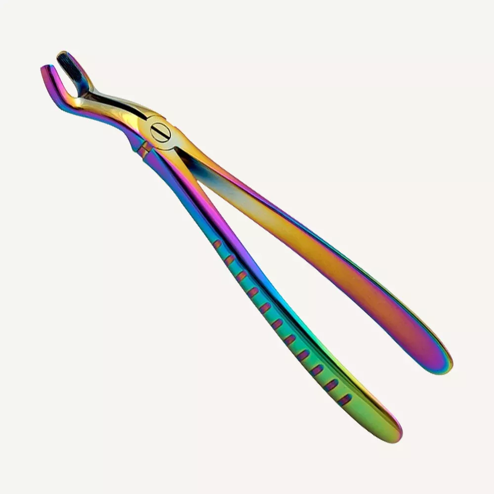 Upper 3rd Molars