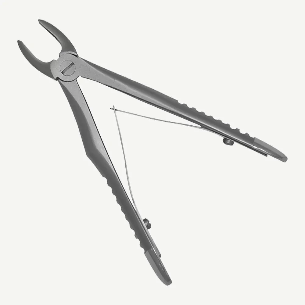 Upper Incisors