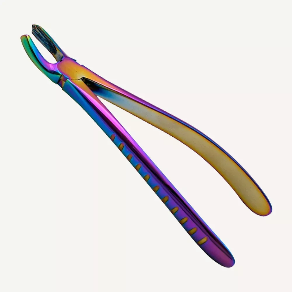 Upper Molars Right