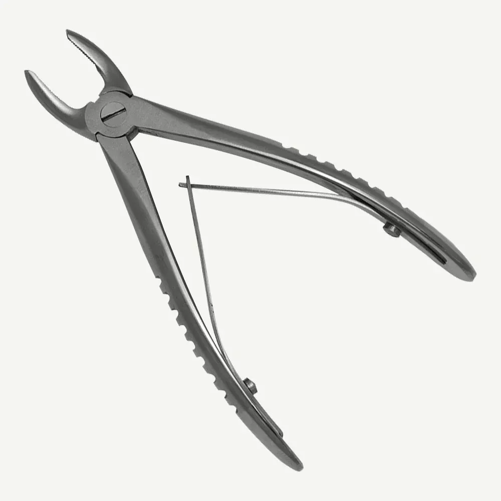 Upper Premolars