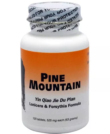 Yin Qiao Jie Du Pian 120 tablets
